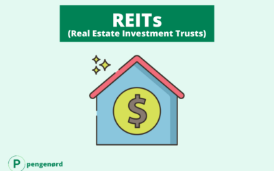 Investering i en Real Estate Investment Trust (REIT)