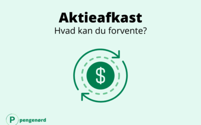 Afkast  på aktier: Hvad kan man forvente?